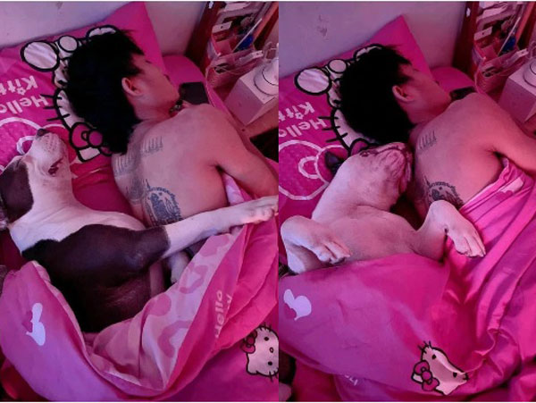 Than thở bị 'trà xanh' cướp chồng còn cướp luôn chỗ ngủ, chứng kiến 'người thật việc thật' ai cũng phải bật cười
