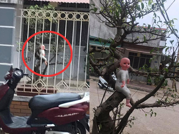 Rợn người với hình ảnh đứa bé đang ngồi vắt vẻ trên cây, lại gần thì phát hiện sự thực ngã ngửa