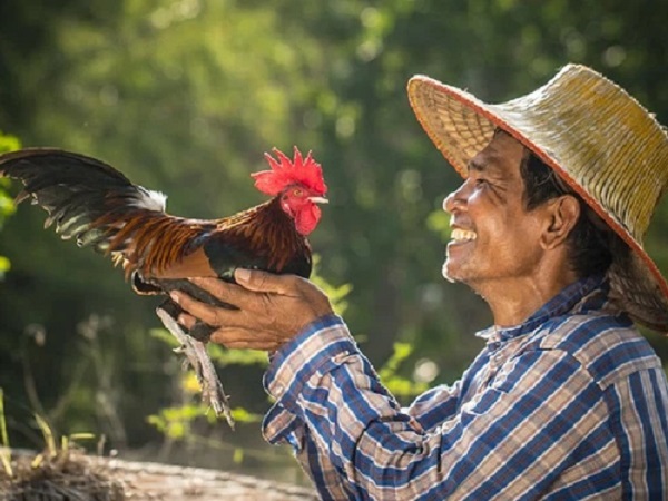 Sự tích tên gọi 'gà Mạnh Hoạch': Từ ông chủ quán trà đá đến chuỗi nhà hàng thương hiệu quốc dân hơn 20 năm tuổi tại Hải Dương