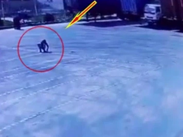 Video: Ngồi giữa bãi đỗ xe, người đàn ông gặp tai nạn bất thình lình khiến tất cả bàng hoàng