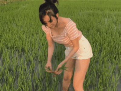 Bà Tưng bị 'ném đá' khi ra đồng với quần áo hớ hênh, dân mạng tố 'làm màu'
