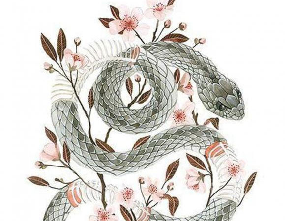 Đúng ngày 8/3, top con giáp đỏ vận tình duyên, trúng vận đào hoa, tài lộc tới tấp, may mắn ngập tràn