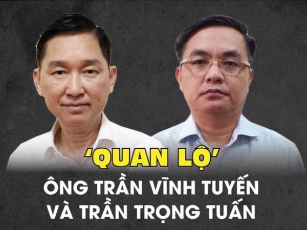 Ông Trần Vĩnh Tuyến, Trần Trọng Tuấn sai phạm do nể nang em trai nguyên Bí thư Thành uỷ