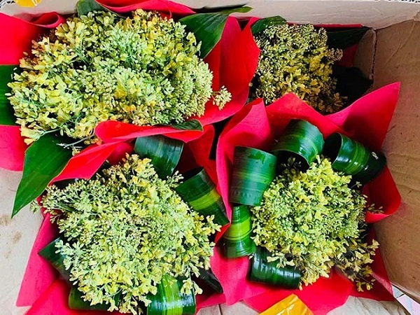 Ruộng su lơ nở hoa vàng rực tưởng phải vứt bỏ, nhưng sự sáng tạo bất ngờ giúp anh nông dân Hải Dương thu tiền triệu