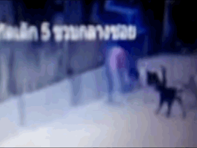 Video: Bé gái 5 tuổi bị đàn chó 'điên' lao vào cắn ngay trên phố