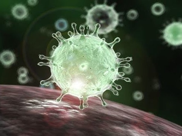 Phát hiện virus mới giống SARS-CoV-2 tới 94,5%