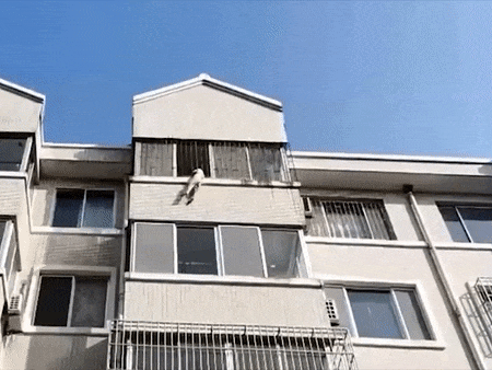Video: Bé trai mắc kẹt lơ lửng ngoài cửa sổ tầng 4