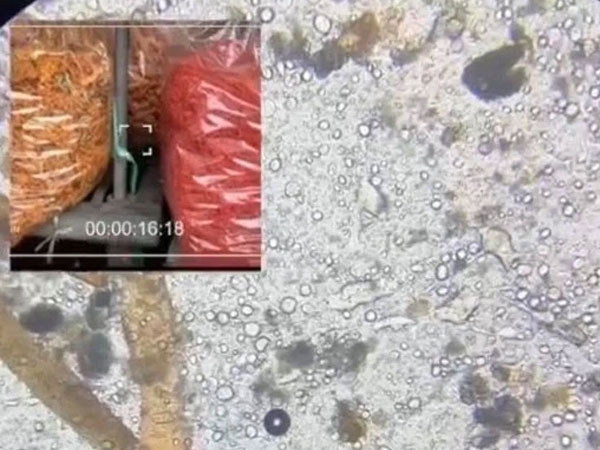 Soi bò khô siêu rẻ 170k/kg bán đầy ngoài chợ dưới kính hiển vi, phát hiện thứ nguyên liệu bất ngờ khiến nhiều người khiếp sợ