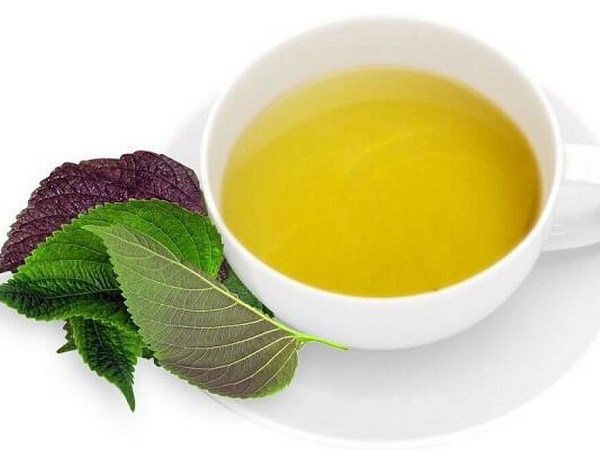 Những cách làm trắng da mặt bằng lá tía tô siêu hiệu quả, giúp U42 trẻ như U24