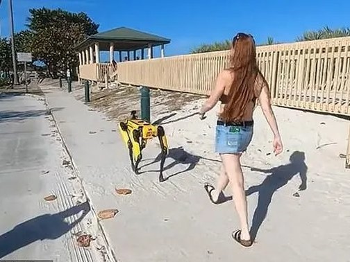 Độc đáo chó robot giá 1,7 tỷ đồng