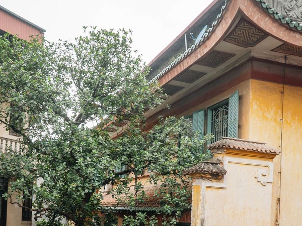 Chuyện ít người biết về căn biệt thự cổ 110 năm tuổi ở Hà Nội, có cả 'sàn nhảy đầm' cho giới thượng lưu