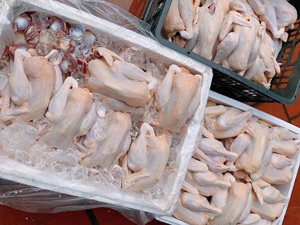 Mất giá thê thảm, gà ri siêu rẻ lại đổ bộ thị trường