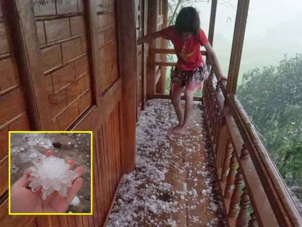 Video: Mưa đá lớn tại Điện Biên gây thiệt hại về nhà cửa, hoa màu
