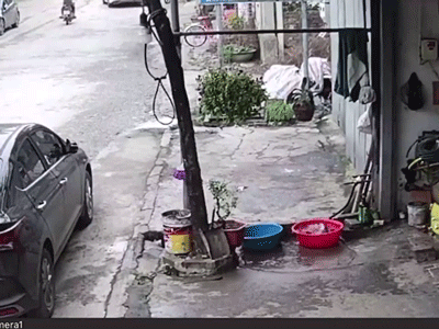 Video cá 'vượt ngục' khỏi chậu ở Tuyên Quang lên báo Anh