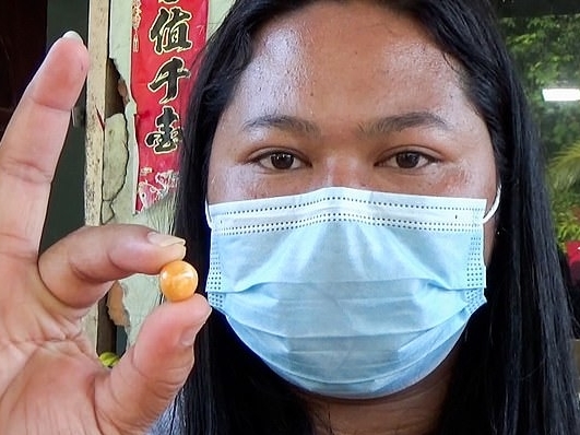 Mua ốc biển về ăn, người phụ nữ nghèo khổ phát hiện 'hòn sạn' trị giá cả gia tài