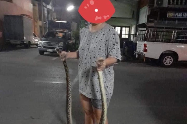 Chứng kiến bà xã tay không tóm gọn con trăn khủng để bảo vệ mèo cưng, anh chồng kinh hãi tột độ, tự nhủ 'từ nay sẽ ngoan'