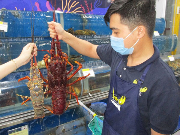 Tôm hùm, nho Úc giá rẻ đổ bộ Việt Nam