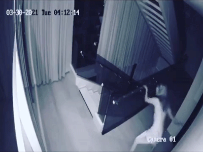 Trích xuất camera: Ngọc Trinh kêu cứu khi trộm đột nhập lấy hộp đồng hồ 10 tỷ đồng