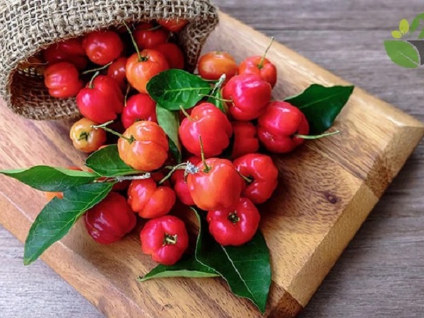 Loại quả có lượng vitamin C cao gấp 100 lần cam chanh giúp chị em đẹp da, giữ dáng lại phòng nhiều bệnh tật