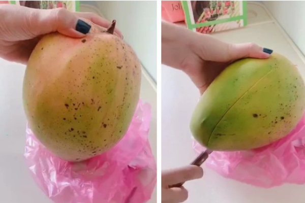 Trái xoài gần 3kg, phải ủ cả 1 tuần mới chín nhưng lúc đem ra gọt, cô gái 'tức cái lồng ngực' khi nhìn thứ bên trong