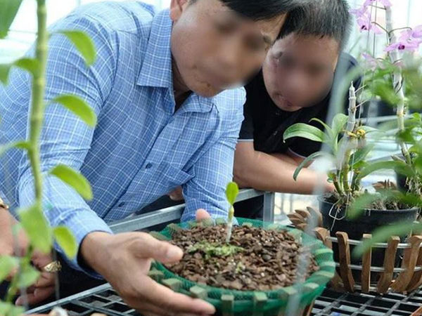 Lan đột biến giá trăm tỷ có sự thao túng tạo giao dịch ảo?