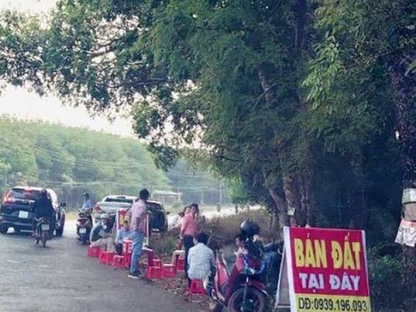 Bộ Tài nguyên Môi trường yêu cầu các thành phố báo cáo tình trạng 'sốt đất ảo' trước 31/5