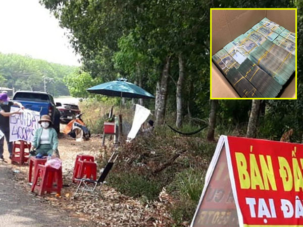 Mua đất như mua rau, đại gia vác thùng carton đựng hàng chục bó tiền đi buôn đất