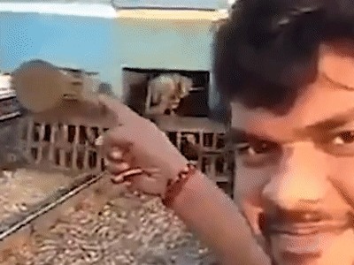 Kết cục kinh hoàng cho thanh niên đứng sát đường ray cầm điện thoại selfie khi tàu đang lao tới