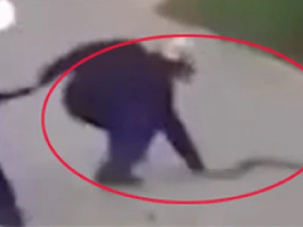 Clip: Người đàn ông bất ngờ nhảy xuống xe máy, tay không bắt rắn khiến tất cả rùng mình