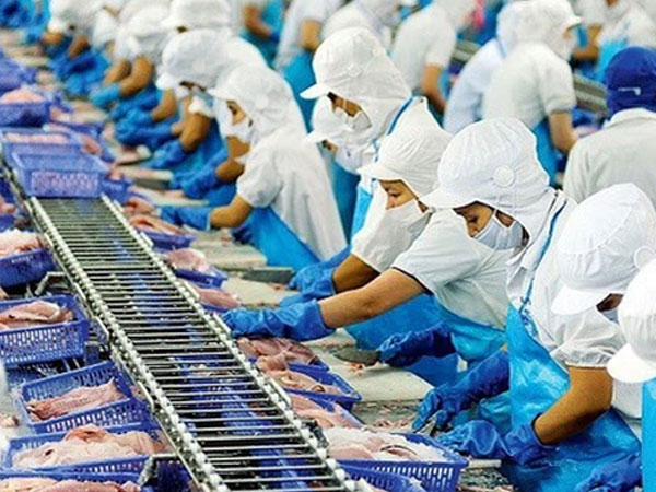 Xuất khẩu thuỷ sản Việt Nam lấy lại đà tăng trưởng