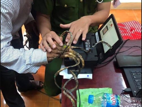 Xôn xao câu chuyện người đàn ông đi làm căn cước 30 phút vẫn không lấy được vân tay, nhìn xuống bộ móng ai cũng sửng sốt