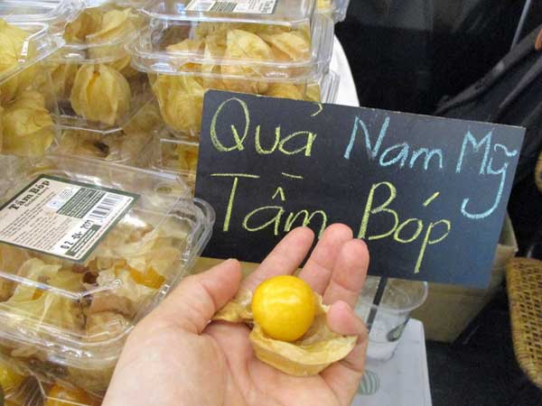 Choáng với giá bán quả tầm bóp