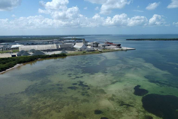 Florida (Mỹ) tuyên bố tình trạng khẩn cấp vì nguy cơ vỡ hồ nước độc hại