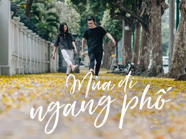 Khung cảnh Hà Nội ngày 'mùa đi ngang phố', lá sấu phủ kín những nẻo đường ta qua