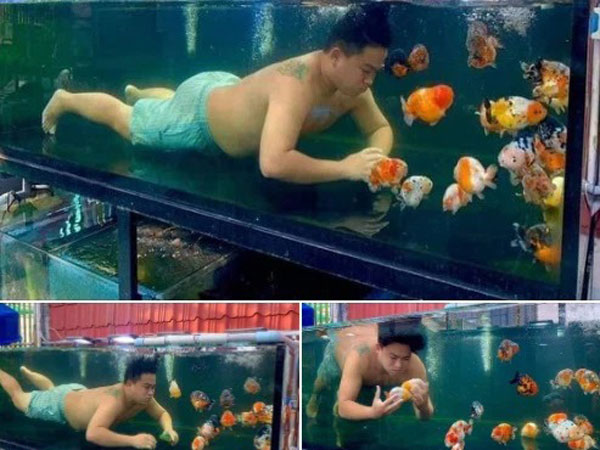 Ông chồng thà nhảy vào bể chơi với cá cũng không chịu chơi với con bị vợ 'bóc phốt' khiến dân mạng 'trố mắt'