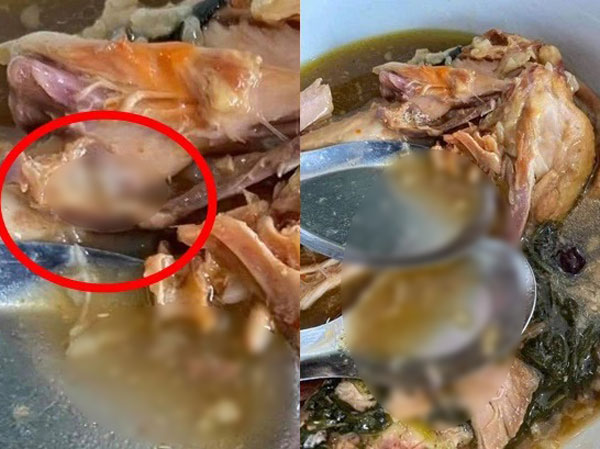 Đang ăn gà tần, cô gái giật bắn mình rồi chạy đi 'nôn thốc nôn tháo' vì sinh vật lạ ở trong!
