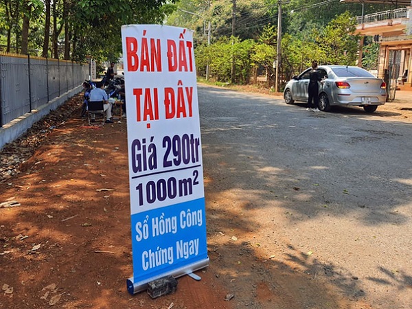 Nhiều nhà đầu tư F0 'chết' vì sốt đất