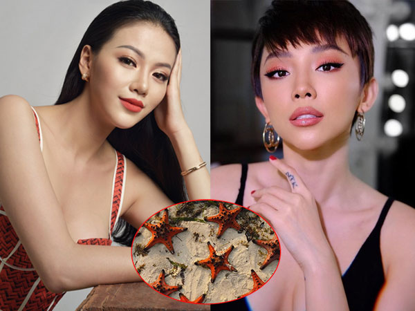 Tóc Tiên, Hoa hậu Phương Khánh gay gắt lên án hành động chụp ảnh khiến sao biển chết la liệt ở bờ biển
