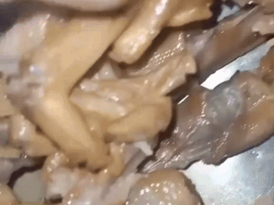 Thử đem luộc chân vịt cay Tứ Xuyên đang hot rần rần trên mạng, cô gái 'sốc nặng' khi phát hiện nhiều chi tiết mất vệ sinh