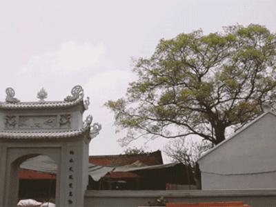 Video: Ngỡ ngàng di tích quốc gia Chùa Đậu được ‘cấy' thêm nhiều công trình hoành tráng