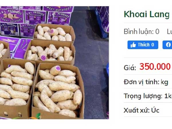 Khuyến mãi sâu, khoai lang tím Úc vẫn có giá 100.000 đồng/kg