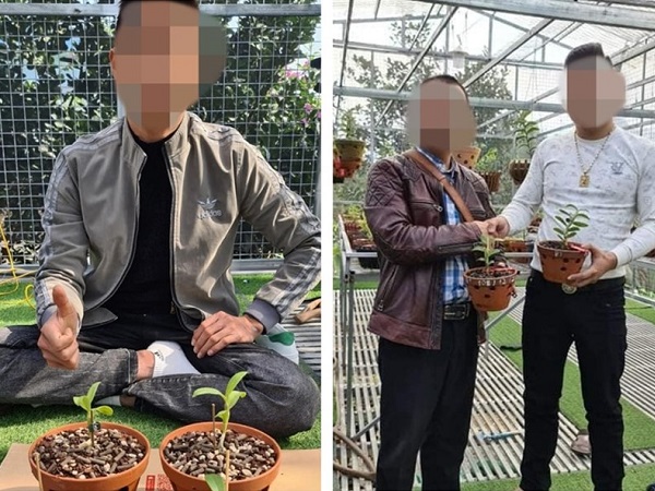 Mua phải lan đột biến giả, một người trình báo bị lừa gần 10 tỉ đồng