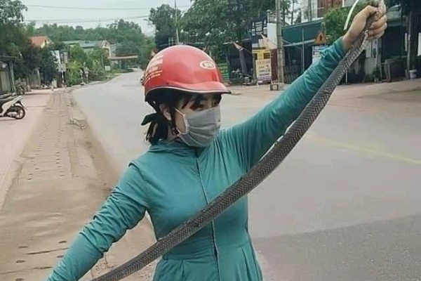 Bắt gặp bé Na trên đường, 'nữ ninja' xuất chiêu cực nhanh tóm gọn trong phút mốt, con rắn 2m vùng vẫy cố thoát thân nhưng kết cục bất lực!
