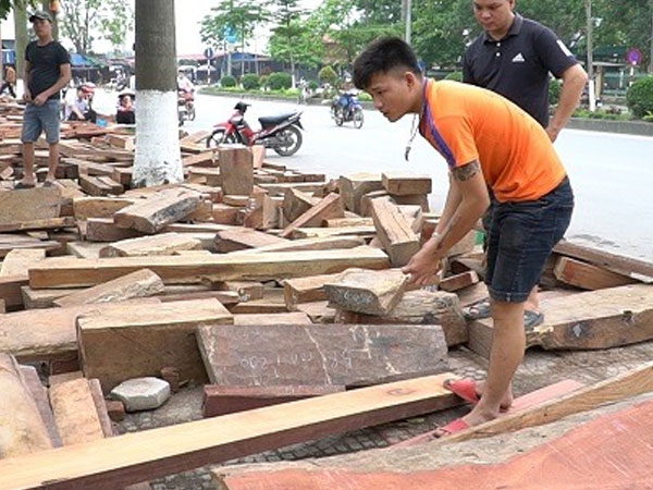 Video: Chợ hàng trăm gian bán gỗ quý bán theo cân, người mua tấp nập