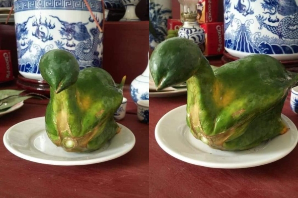 Dân mạng 'phát sốt' với chiếc đu đủ 'uốn éo' thành hình thiên nga cực độc