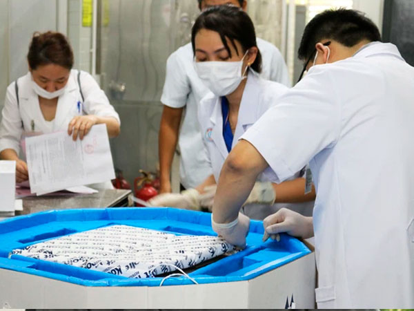Cận cảnh BV Chợ Rẫy tiếp nhận lô thuốc giải độc tố nghi có trong pate chay, mỗi lọ hơn 6.000 USD