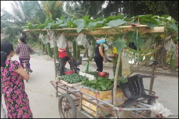 Người đàn ông Hải Phòng gây sốt khi kéo cả vườn cây trĩu quả đi khắp huyện, nhìn ai cũng thấy lạ xúm vào hỏi thì ra là bán mặt hàng này