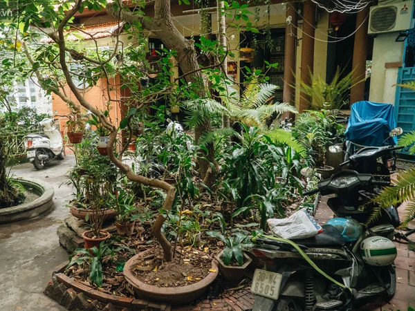 Ngôi nhà 80 năm tuổi, rộng gần 300m2 giữa phố cổ Hà Nội: Trả trăm tỷ không bán, bên trong có hầm chứa được 20 người