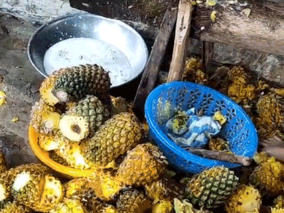 Thanh niên đăng clip than dứa rẻ, dân tình bức xúc chỉ ra điểm không hợp lý