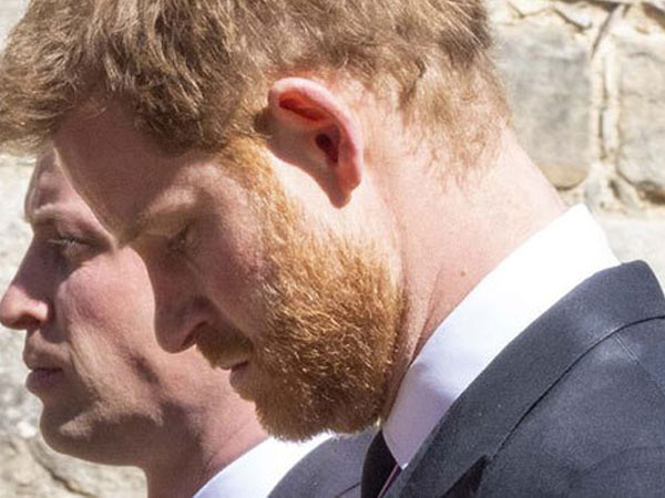 Harry 'sợ' nhìn vào mắt William